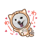 もふもふまろぷんスタンプ（個別スタンプ：19）