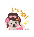 もふもふまろぷんスタンプ（個別スタンプ：20）