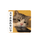 可愛いねこちゃんスタンプ2♪（個別スタンプ：10）