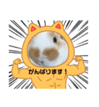二代目店長チロルスペシャル（個別スタンプ：3）