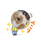 二代目店長チロルスペシャル（個別スタンプ：7）
