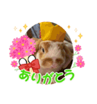 二代目店長チロルスペシャル（個別スタンプ：9）