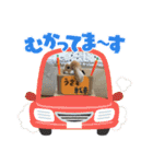 二代目店長チロルスペシャル（個別スタンプ：13）