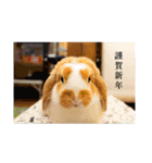 二代目店長チロルスペシャル（個別スタンプ：14）