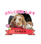 二代目店長チロルスペシャル（個別スタンプ：16）