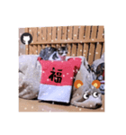 ガッシーねこーず元地域ねこーずスタンプ（個別スタンプ：14）