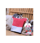ガッシーねこーず元地域ねこーずスタンプ（個別スタンプ：15）