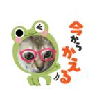 うちのジェリトム（個別スタンプ：2）