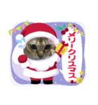 うちのジェリトム（個別スタンプ：7）