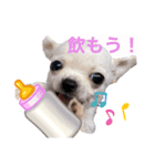 ♡すむちーのささみ♡（個別スタンプ：7）