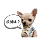 ♡すむちーのささみ♡（個別スタンプ：8）