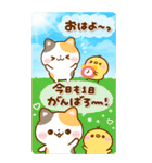 お正月♡ねこねこにゃんこ（個別スタンプ：26）