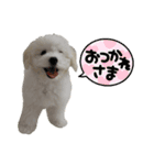 みるくちゃんの日常スタンプ（個別スタンプ：3）