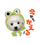 みるくちゃんの日常スタンプ（個別スタンプ：10）