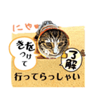 挨拶 ネコ（個別スタンプ：2）