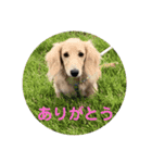 カニンヘンダックス日常2（個別スタンプ：8）