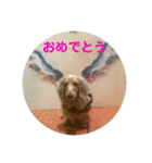 カニンヘンダックス日常2（個別スタンプ：26）