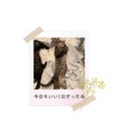 早渕家4（個別スタンプ：6）