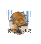 早渕家4（個別スタンプ：13）