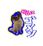 めいちゃんスタンプ第4弾せいやといっしょ（個別スタンプ：10）