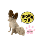 めいちゃんスタンプ第4弾せいやといっしょ（個別スタンプ：15）