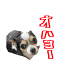 めいちゃんスタンプ第4弾せいやといっしょ（個別スタンプ：18）