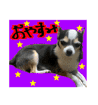 めいちゃんスタンプ第4弾せいやといっしょ（個別スタンプ：26）