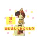 めいちゃんスタンプ第4弾せいやといっしょ（個別スタンプ：37）