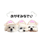 むぎちょこみるく三兄妹♪♪♪（個別スタンプ：8）