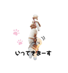 むぎちょこみるく三兄妹♪♪♪（個別スタンプ：13）