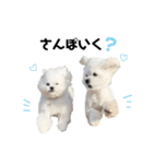 むぎちょこみるく三兄妹♪♪♪（個別スタンプ：20）