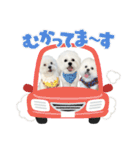 むぎちょこみるく三兄妹♪♪♪（個別スタンプ：24）
