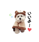 むぎちょこみるく三兄妹♪♪♪（個別スタンプ：29）