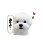 むぎちょこみるく三兄妹♪♪♪（個別スタンプ：31）