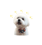 むぎちょこみるく三兄妹♪♪♪（個別スタンプ：33）