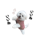 むぎちょこみるく三兄妹♪♪♪（個別スタンプ：36）