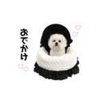 むぎちょこみるく三兄妹♪♪♪（個別スタンプ：37）