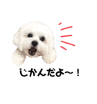 むぎちょこみるく三兄妹♪♪♪（個別スタンプ：38）