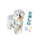 むぎしゃんしゃん②（個別スタンプ：1）