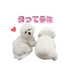 むぎしゃんしゃん②（個別スタンプ：8）