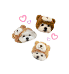 むぎしゃんしゃん②（個別スタンプ：28）