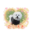 むぎしゃんしゃん②（個別スタンプ：36）