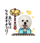 むぎしゃんしゃん②（個別スタンプ：39）
