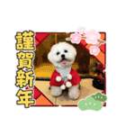 むぎしゃんしゃん②（個別スタンプ：40）