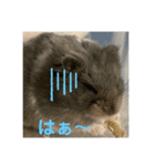 ハム庭スタンプ②（個別スタンプ：8）