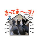 友愛会シリーズ（個別スタンプ：3）