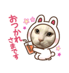 友愛会シリーズ（個別スタンプ：7）