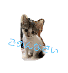 友愛会シリーズ（個別スタンプ：14）