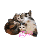友愛会シリーズ（個別スタンプ：19）