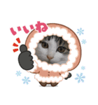 友愛会シリーズ（個別スタンプ：21）